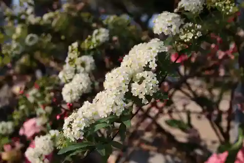 三津厳島神社(愛媛県)