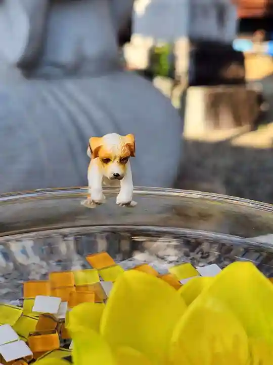 たつの市 常照寺(兵庫県)