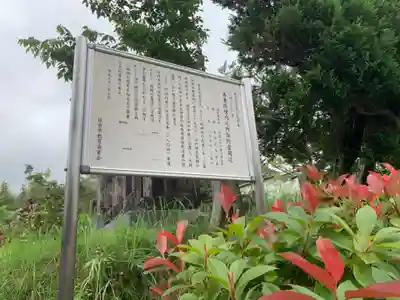 善養院(千葉県)