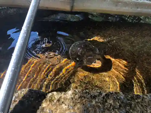 玉祖神社の手水舎