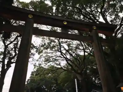 明治神宮の鳥居