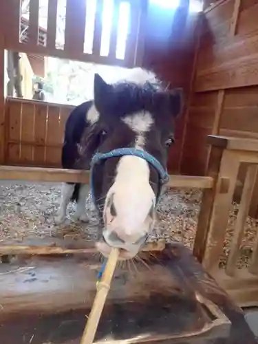 平塚八幡宮(神奈川県)