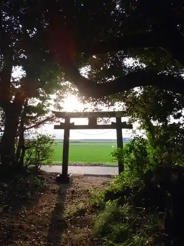 水神宮の鳥居