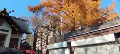 手稲神社(北海道)