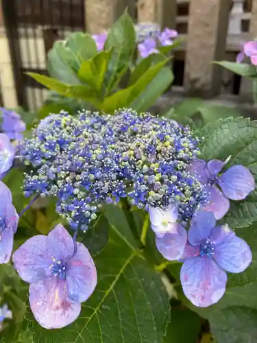 白山神社(東京都)