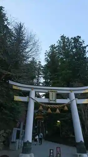 宝登山神社の鳥居