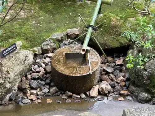 龍安寺の{uncategorized: "未分類", other: "その他", undefined: "問題あり", building: "その他建物", grave: "お墓", sacred_gate: "鳥居", guardian: "狛犬", statue: "像", buddha: "仏像", history: "歴史", nature: "自然", garden: "庭園", animal: "動物", pagoda: "塔", temizu: "手水舎", mountain_gate: "山門・神門", sanctuary: "本殿・本堂", subordinate: "末社・摂社", art: "芸術", scenery: "景色", jizo: "地蔵", ema: "絵馬", goshuin: "御朱印", omikuji: "おみくじ", items: "授与品その他", amulet: "お守り", goshuincho: "御朱印帳", eats: "食事", festival: "お祭り", votive_dance: "神楽", shichigosan: "七五三参", wedding: "結婚式", experience: "体験その他", initially: "初詣", around: "周辺", anti_infection: "感染症対策"}
