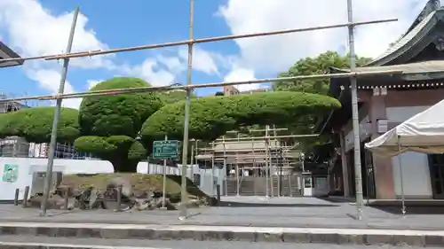 照國神社(鹿児島県)