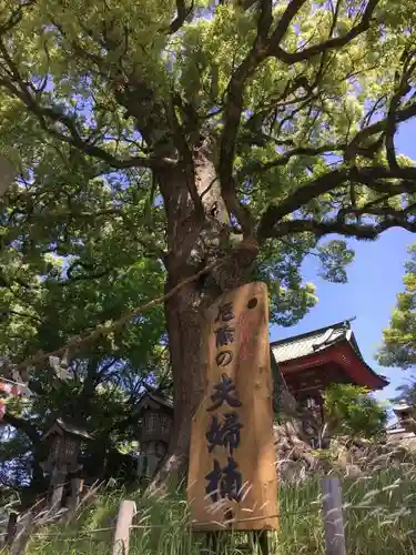 北岡神社の建物その他