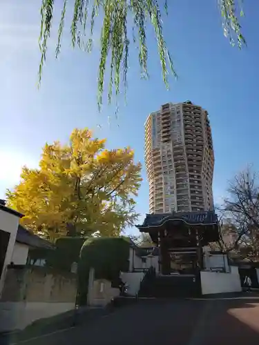 善福寺の山門・神門