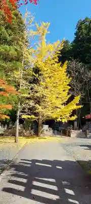 高野山金剛峯寺奥の院(和歌山県)