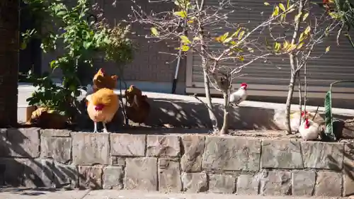 松森天満宮(長崎県)