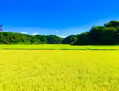 成田熊野神社の景色