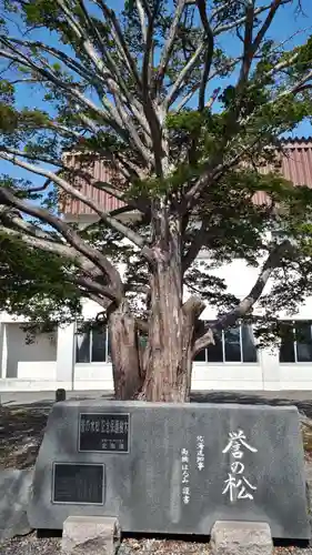 白老八幡神社の自然