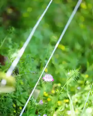 浄土寺(兵庫県)