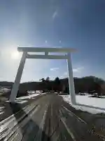 金刀比羅神社の{uncategorized: "未分類", other: "その他", undefined: "問題あり", building: "その他建物", grave: "お墓", sacred_gate: "鳥居", guardian: "狛犬", statue: "像", buddha: "仏像", history: "歴史", nature: "自然", garden: "庭園", animal: "動物", pagoda: "塔", temizu: "手水舎", mountain_gate: "山門・神門", sanctuary: "本殿・本堂", subordinate: "末社・摂社", art: "芸術", scenery: "景色", jizo: "地蔵", ema: "絵馬", goshuin: "御朱印", omikuji: "おみくじ", items: "授与品その他", amulet: "お守り", goshuincho: "御朱印帳", eats: "食事", festival: "お祭り", votive_dance: "神楽", shichigosan: "七五三参", wedding: "結婚式", experience: "体験その他", initially: "初詣", around: "周辺", anti_infection: "感染症対策"}