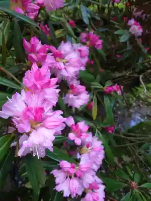 岡寺（龍蓋寺）の{uncategorized: "未分類", other: "その他", undefined: "問題あり", building: "その他建物", grave: "お墓", sacred_gate: "鳥居", guardian: "狛犬", statue: "像", buddha: "仏像", history: "歴史", nature: "自然", garden: "庭園", animal: "動物", pagoda: "塔", temizu: "手水舎", mountain_gate: "山門・神門", sanctuary: "本殿・本堂", subordinate: "末社・摂社", art: "芸術", scenery: "景色", jizo: "地蔵", ema: "絵馬", goshuin: "御朱印", omikuji: "おみくじ", items: "授与品その他", amulet: "お守り", goshuincho: "御朱印帳", eats: "食事", festival: "お祭り", votive_dance: "神楽", shichigosan: "七五三参", wedding: "結婚式", experience: "体験その他", initially: "初詣", around: "周辺", anti_infection: "感染症対策"}