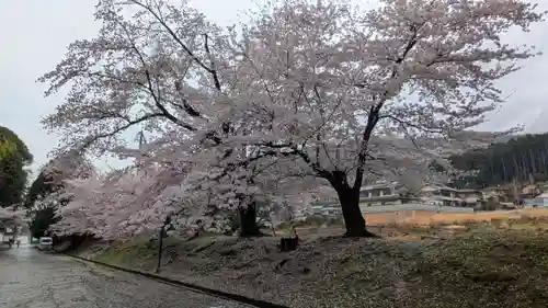 長尾天満宮(京都府)
