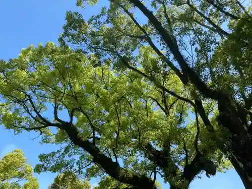 美奈宜神社(福岡県)