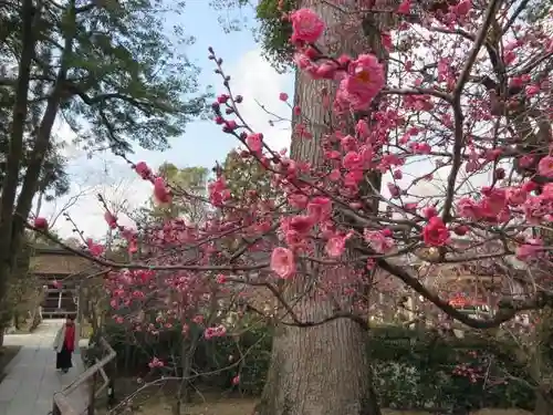 北野天満宮(京都府)