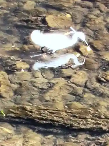 下高井戸八幡神社(東京都)