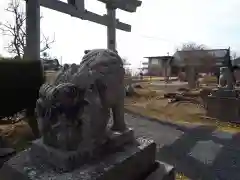 熊野神社の狛犬