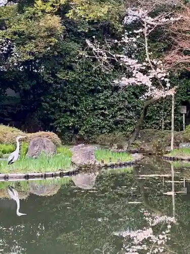 平安神宮(京都府)