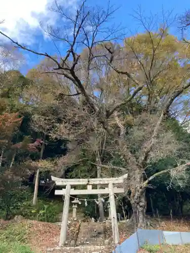 徳神社の鳥居