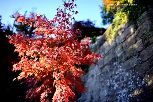 建長寺(神奈川県)