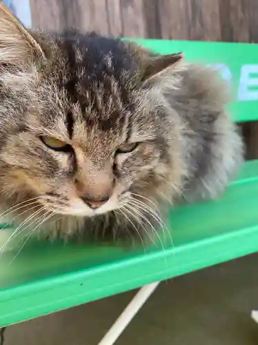 唐澤山神社(栃木県)