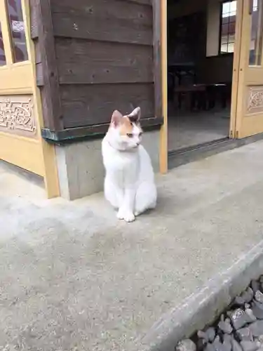 矢奈比賣神社（見付天神）の動物