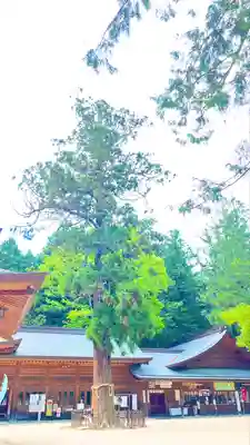 穂高神社本宮(長野県)