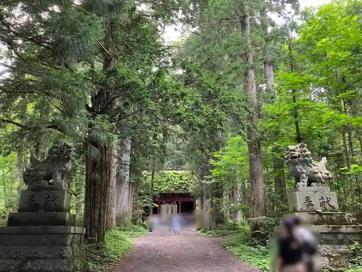 戸隠神社奥社(長野県)