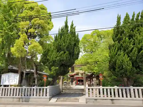 西長洲八幡神社の鳥居