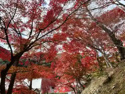 神峯山寺(大阪府)