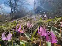 長徳寺(岩手県)