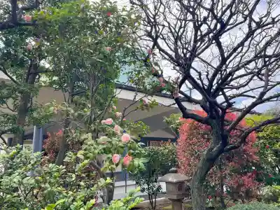 蓮華寺の{uncategorized: "未分類", other: "その他", undefined: "問題あり", building: "その他建物", grave: "お墓", sacred_gate: "鳥居", guardian: "狛犬", statue: "像", buddha: "仏像", history: "歴史", nature: "自然", garden: "庭園", animal: "動物", pagoda: "塔", temizu: "手水舎", mountain_gate: "山門・神門", sanctuary: "本殿・本堂", subordinate: "末社・摂社", art: "芸術", scenery: "景色", jizo: "地蔵", ema: "絵馬", goshuin: "御朱印", omikuji: "おみくじ", items: "授与品その他", amulet: "お守り", goshuincho: "御朱印帳", eats: "食事", festival: "お祭り", votive_dance: "神楽", shichigosan: "七五三参", wedding: "結婚式", experience: "体験その他", initially: "初詣", around: "周辺", anti_infection: "感染症対策"}
