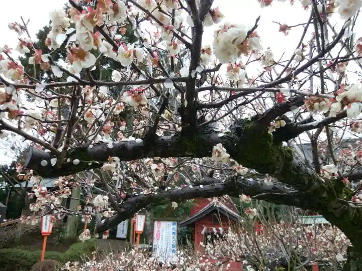 世良田東照宮(群馬県)