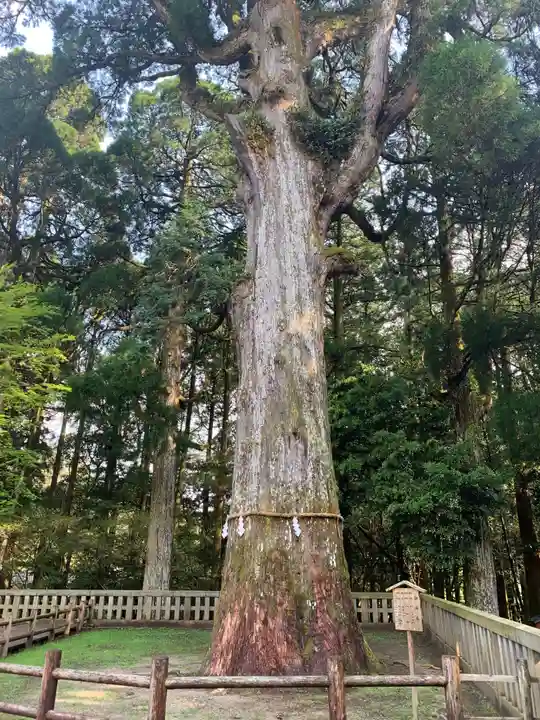 霧島神宮の自然