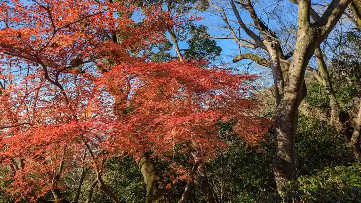 松ヶ崎大黒天 妙圓寺(妙円寺)(京都府)