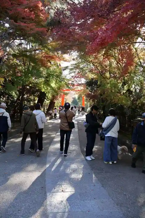 宇治上神社(京都府)