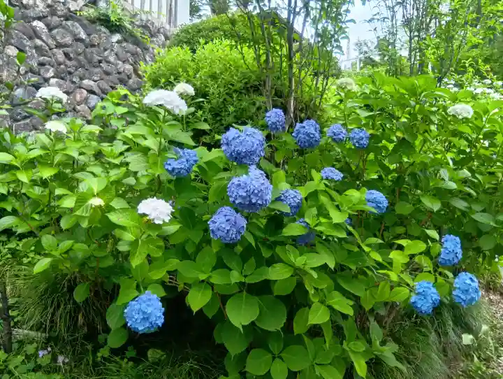 成田山名古屋別院大聖寺(犬山成田山)(愛知県)