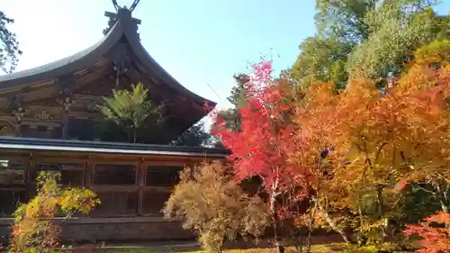 出石神社(兵庫県)