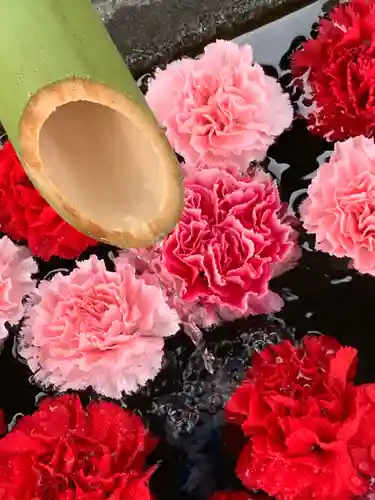 差出磯大嶽山神社 仕事と健康と厄よけの神さまの手水舎