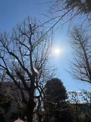 寛永寺(根本中堂)(東京都)