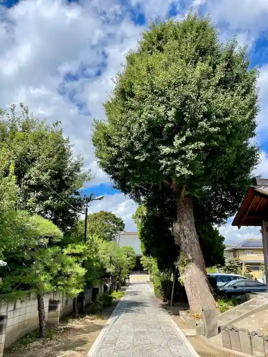 真勝院(東京都)