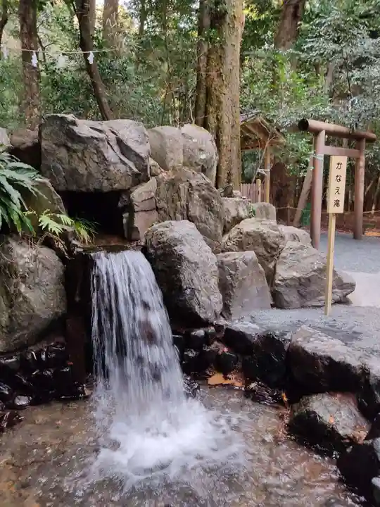 椿岸神社の自然