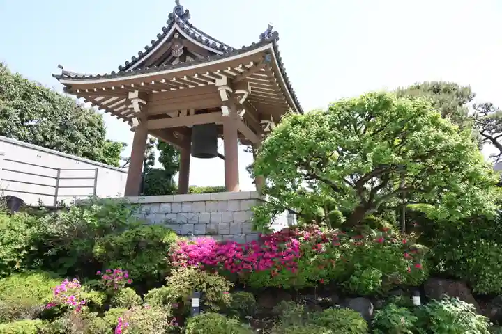 東円寺(東京都)