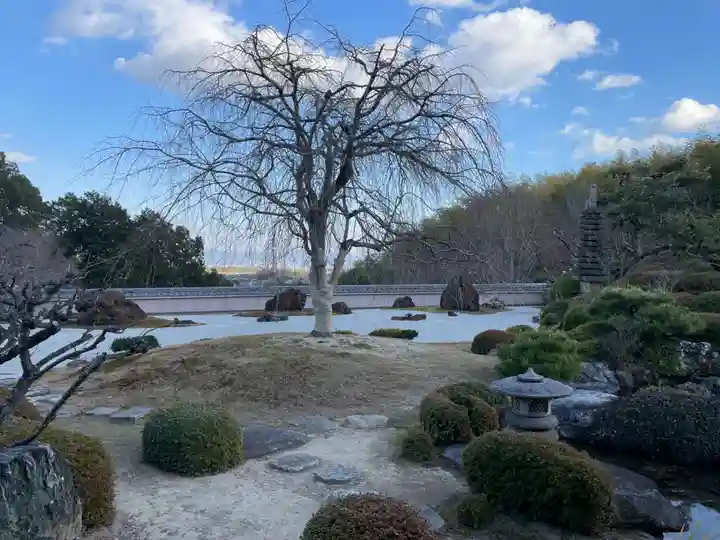 正法寺(京都府)