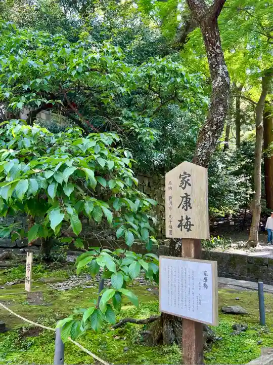久能山東照宮(静岡県)